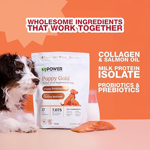 Miniatura 6 de K9 Power Puppy Gold - Suplemento para cachorros en crecimiento y madres lactantes - Nutrientes esenciales para un crecimiento y desarrollo