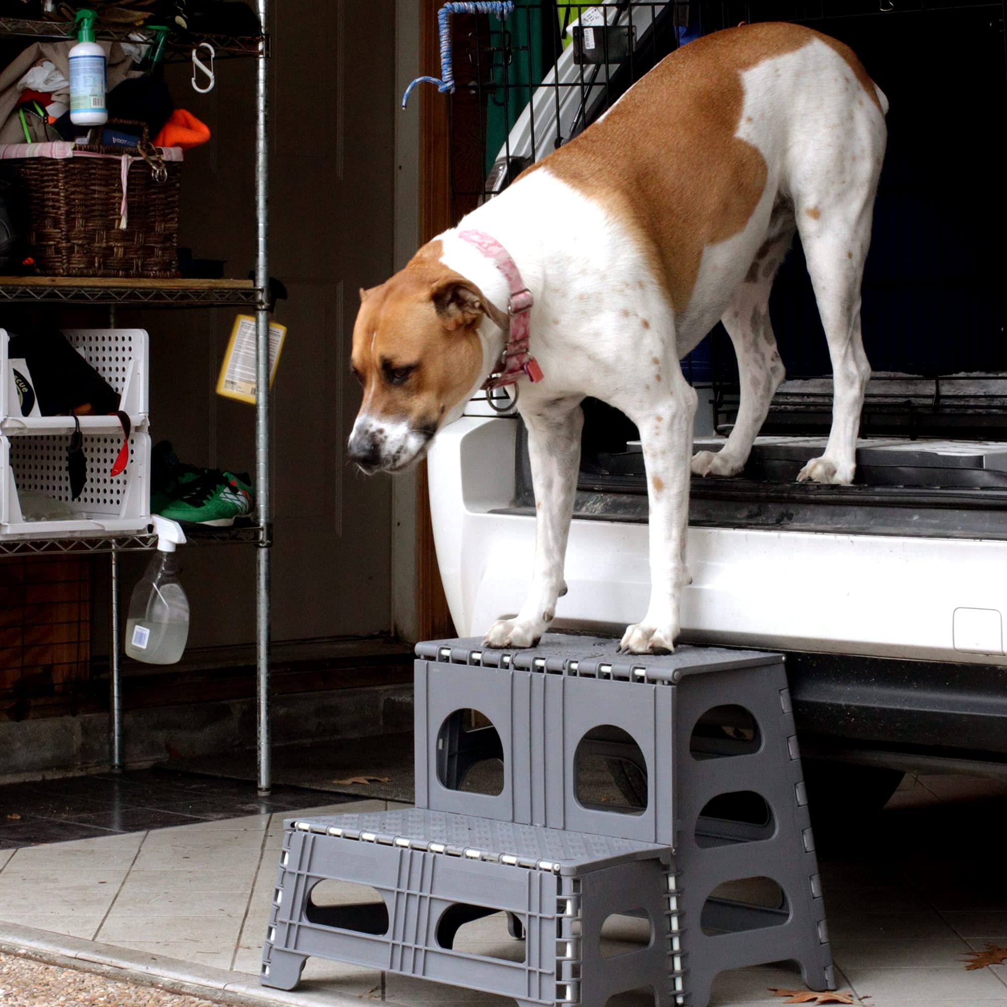 Buy Folding Portable Dog Steps for Large, Medium and Small Doggies