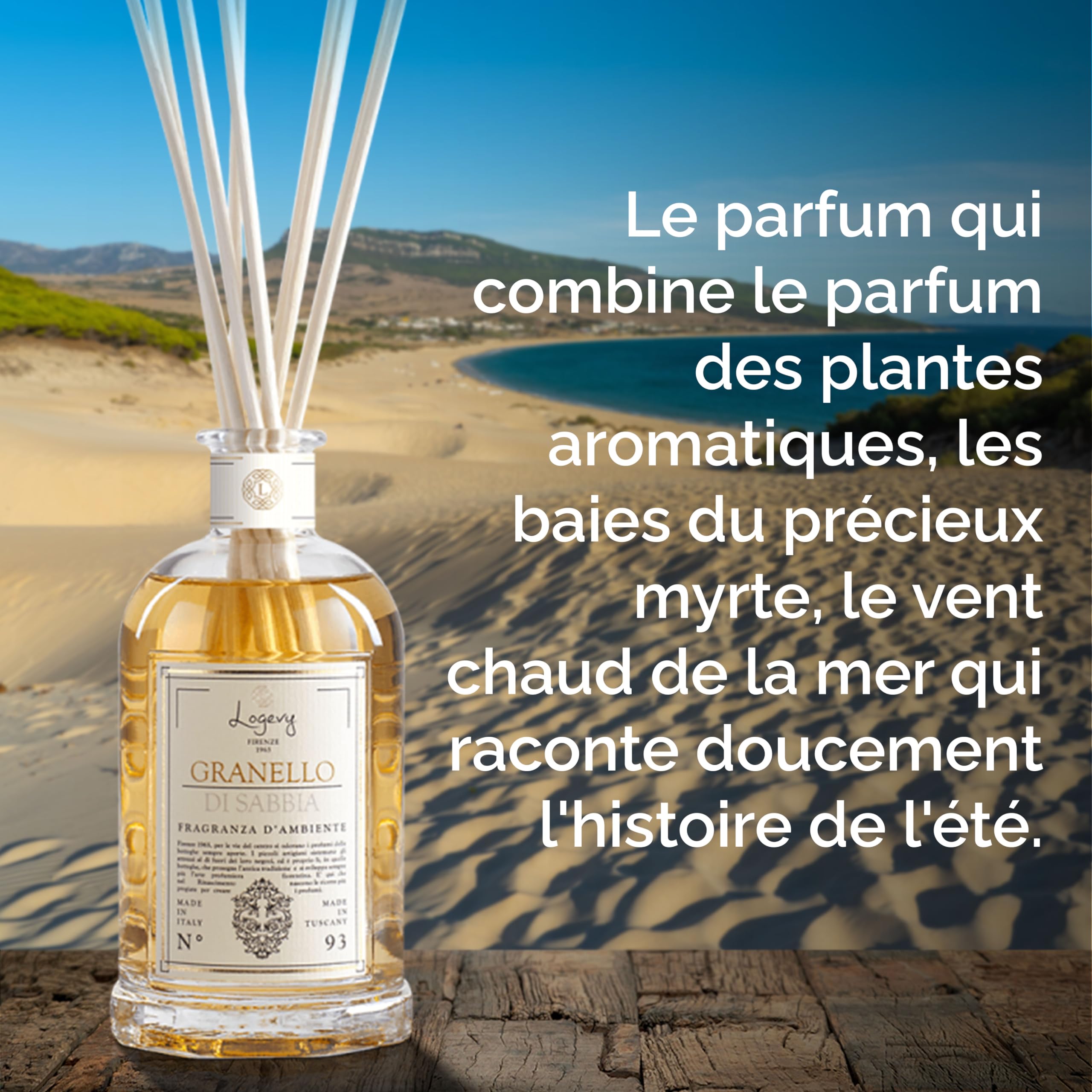 LOGEVY - Diffuseur pour ambiance pour le bien-être de la Personne et de la Maison - Grain de sable (500 ml New 2022)