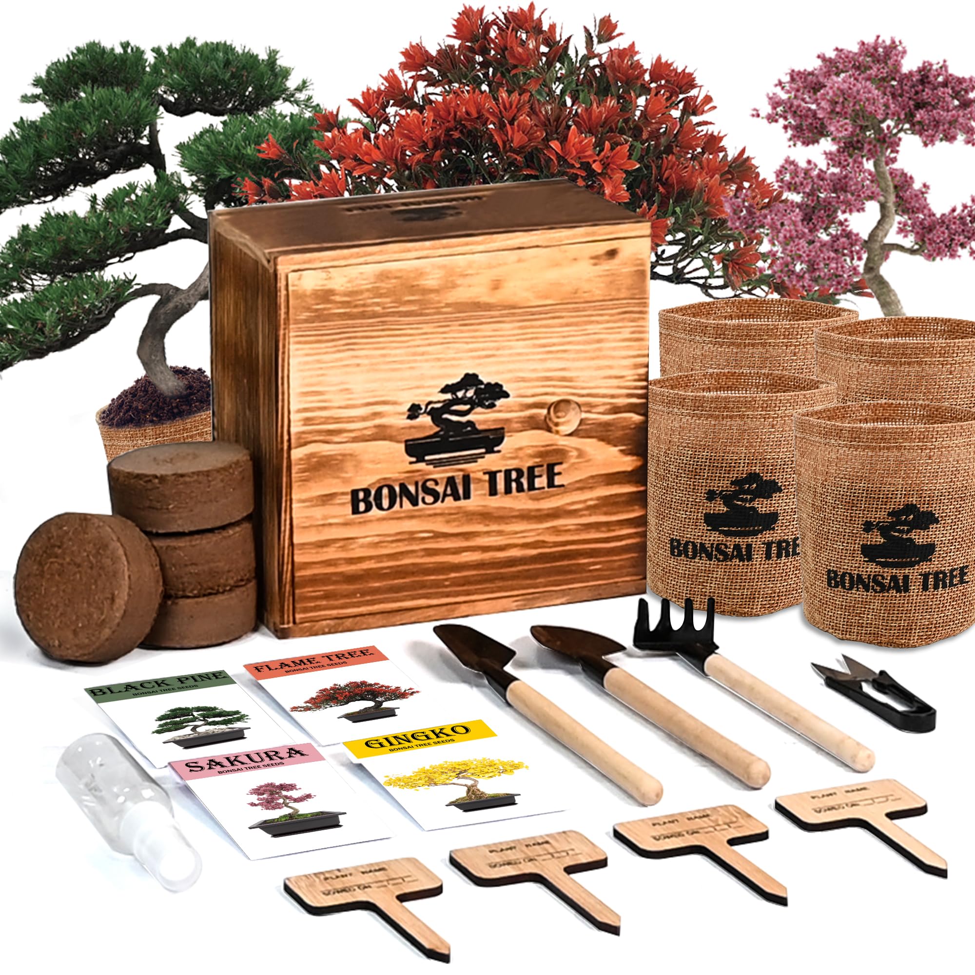 Sponsored Ad - Bonsai Garden Starter Kit, 4 Seeds Growing into Sakura, Ginkgo, Black Pine, Red Flame, Including Complete Gardening Tools & A Wooden Box with Cover, Christmas Gifts for Men Women Beginners