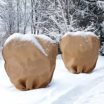 Best Frost Blankets for Plants Florida: Ultimate Protection Guide 1 Best Frost Blankets for Plants Florida: Ultimate Protection Guide