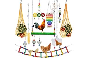 12PCS Longer Chain Chicken Toys for Coop Accessories