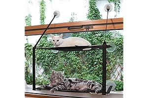 Cat Window Hammock by Mikicharm