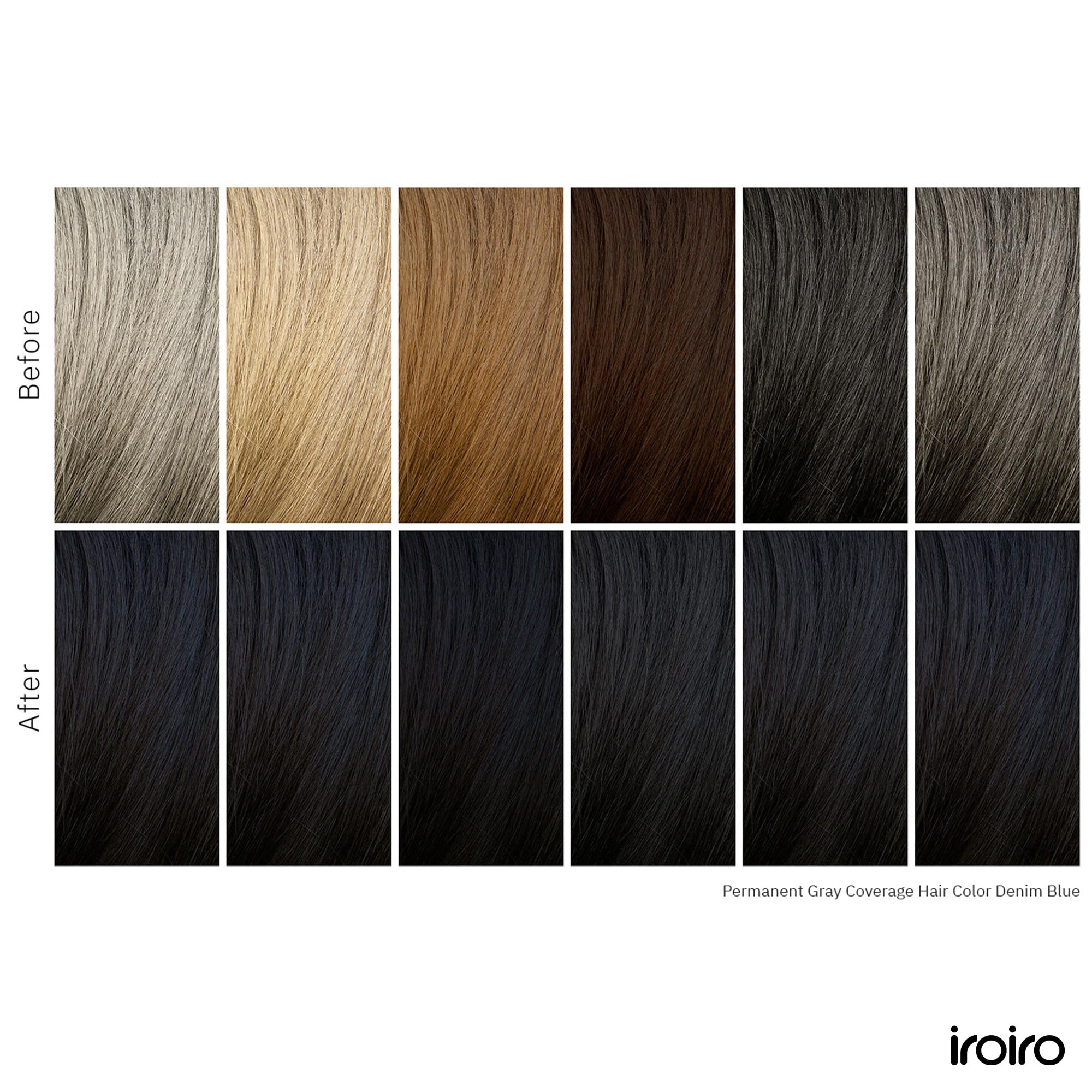Amazon.com : iroiro Permanent Gray Coverage Hair Color (Denim Blue
