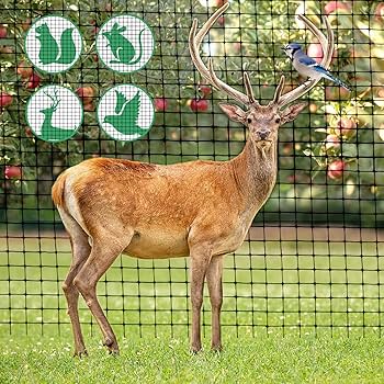 キャットフェンス 楽天市場】直営店保証 クーポン配布中 保証付き ねこ脱走防止