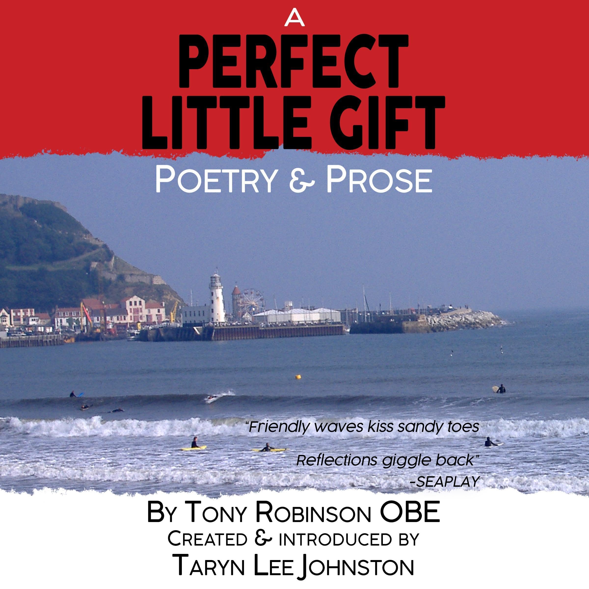 A Perfect Little Gift