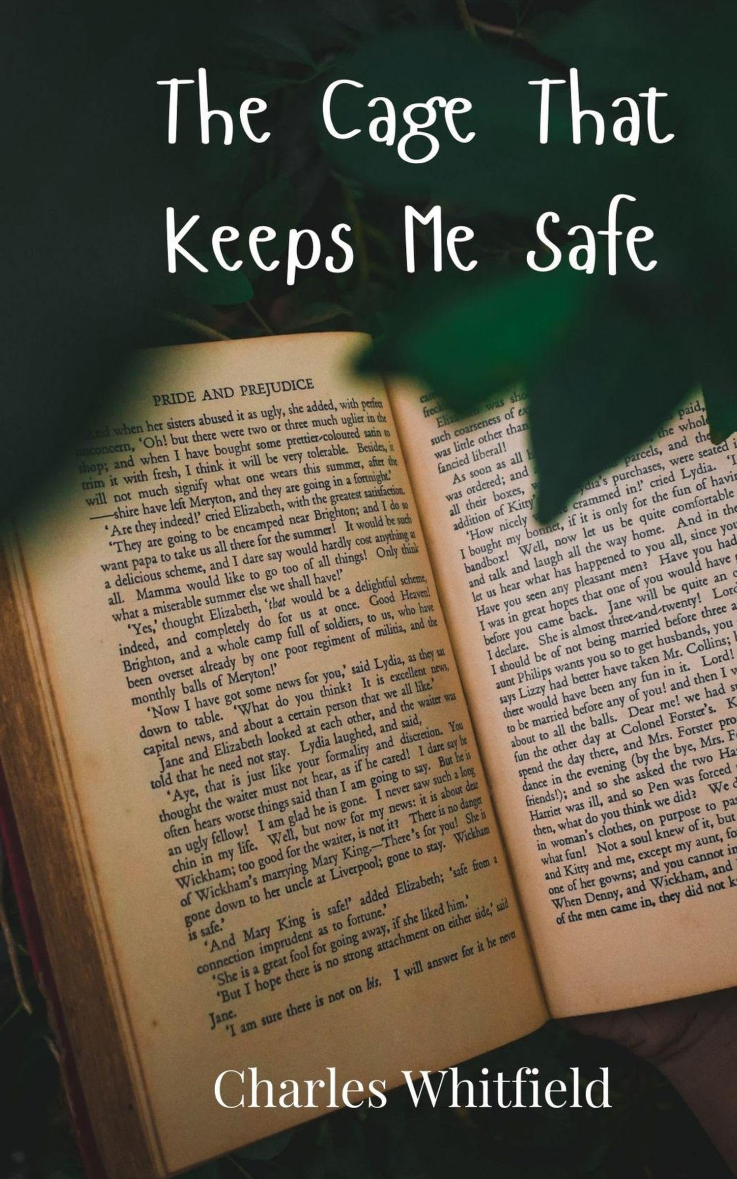 The Cage That Keeps Me Safe