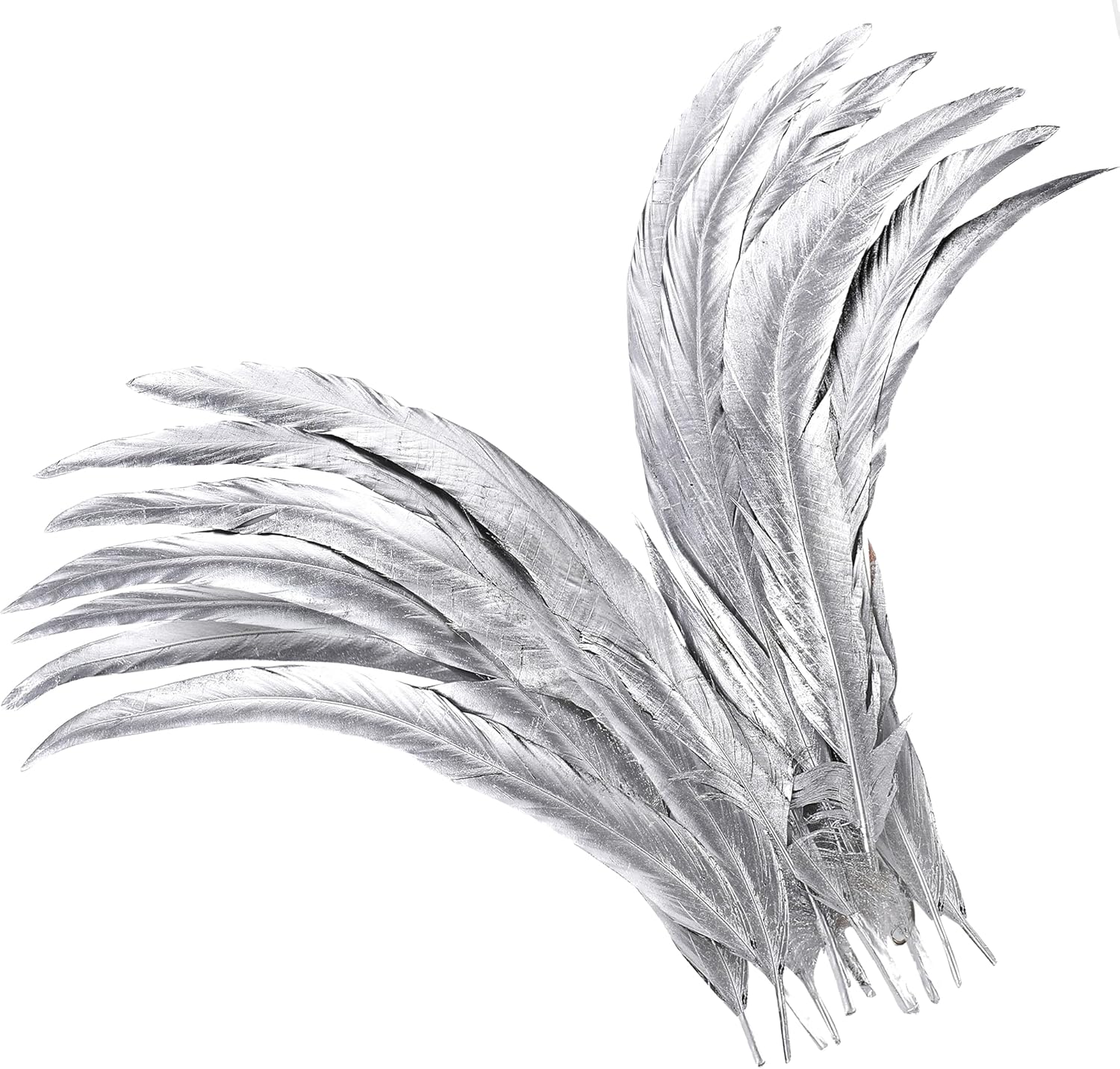 Holmgren Silver Rooster Tail Feathers - 60pcs 12-14inch Long Rooster Tail Feathers Bulk for DIY Crafts Costume and Halloween Party Performances Decoration (Silver)
