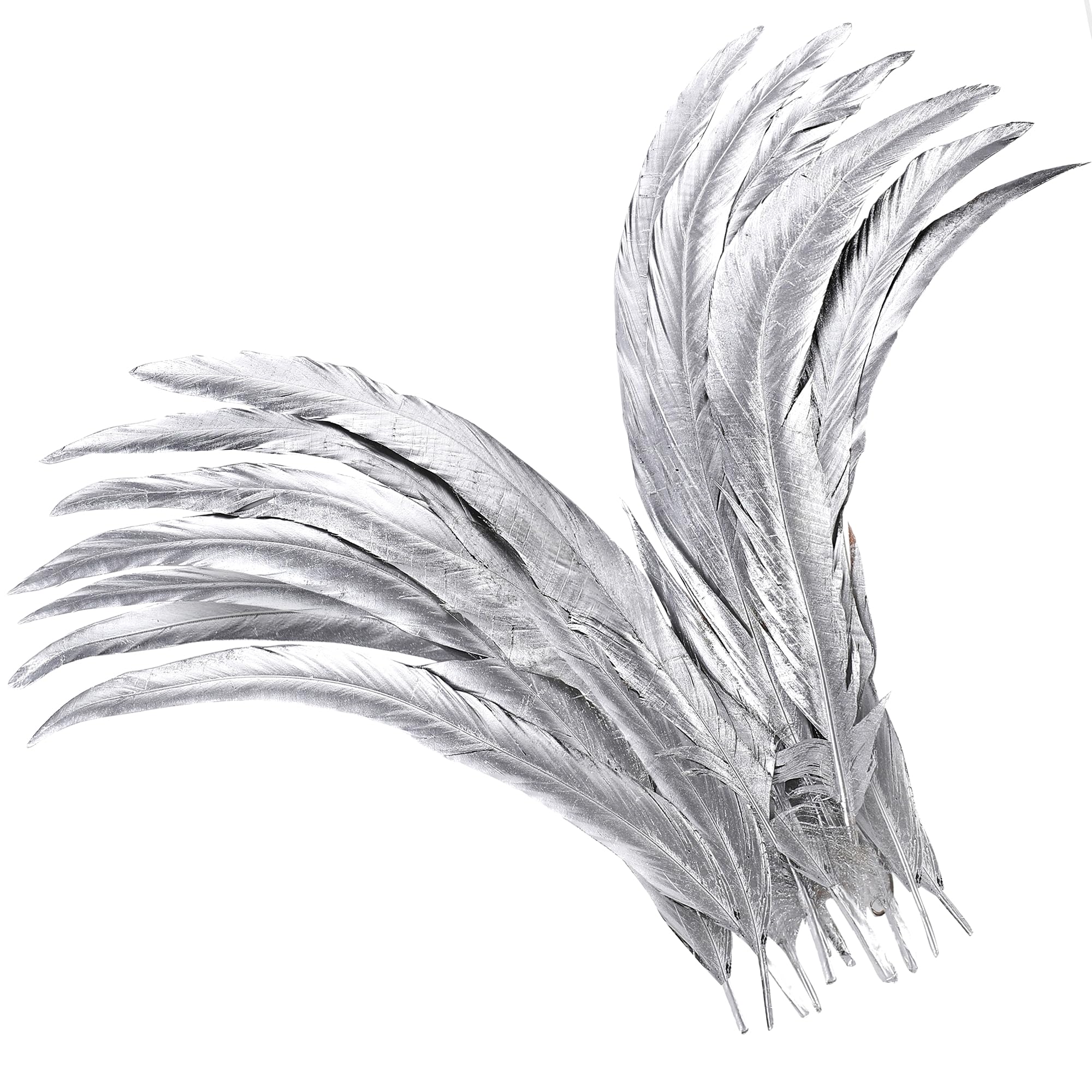 Holmgren Silver Rooster Tail Feathers - 60pcs 12-14inch Long Rooster Tail Feathers Bulk for DIY Crafts Costume and Halloween Party Performances Decoration (Silver)