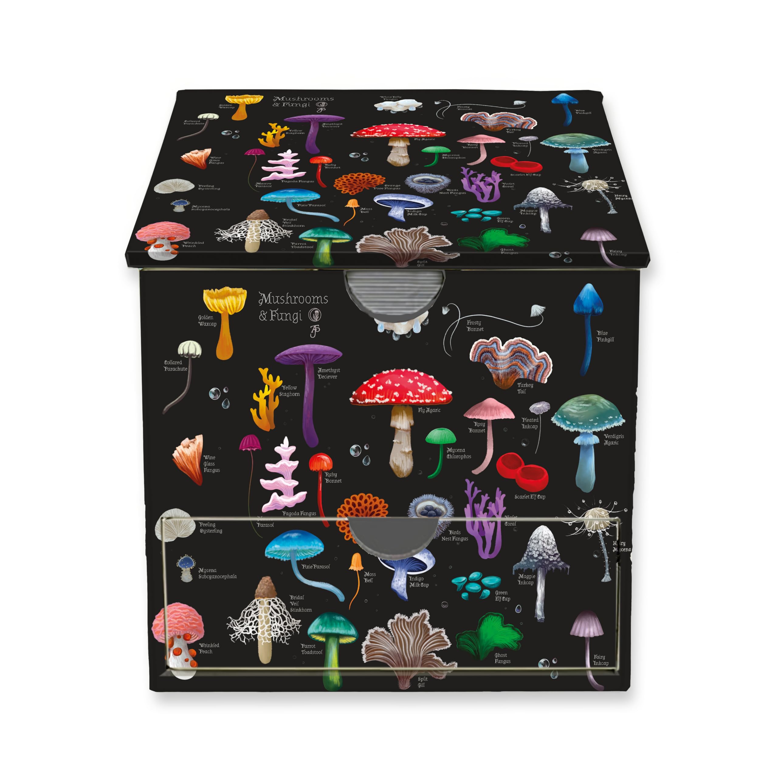 Anna Stead: Mushrooms & Fungi Memo Box with Drawer (Flame Tree Memo Boxes)