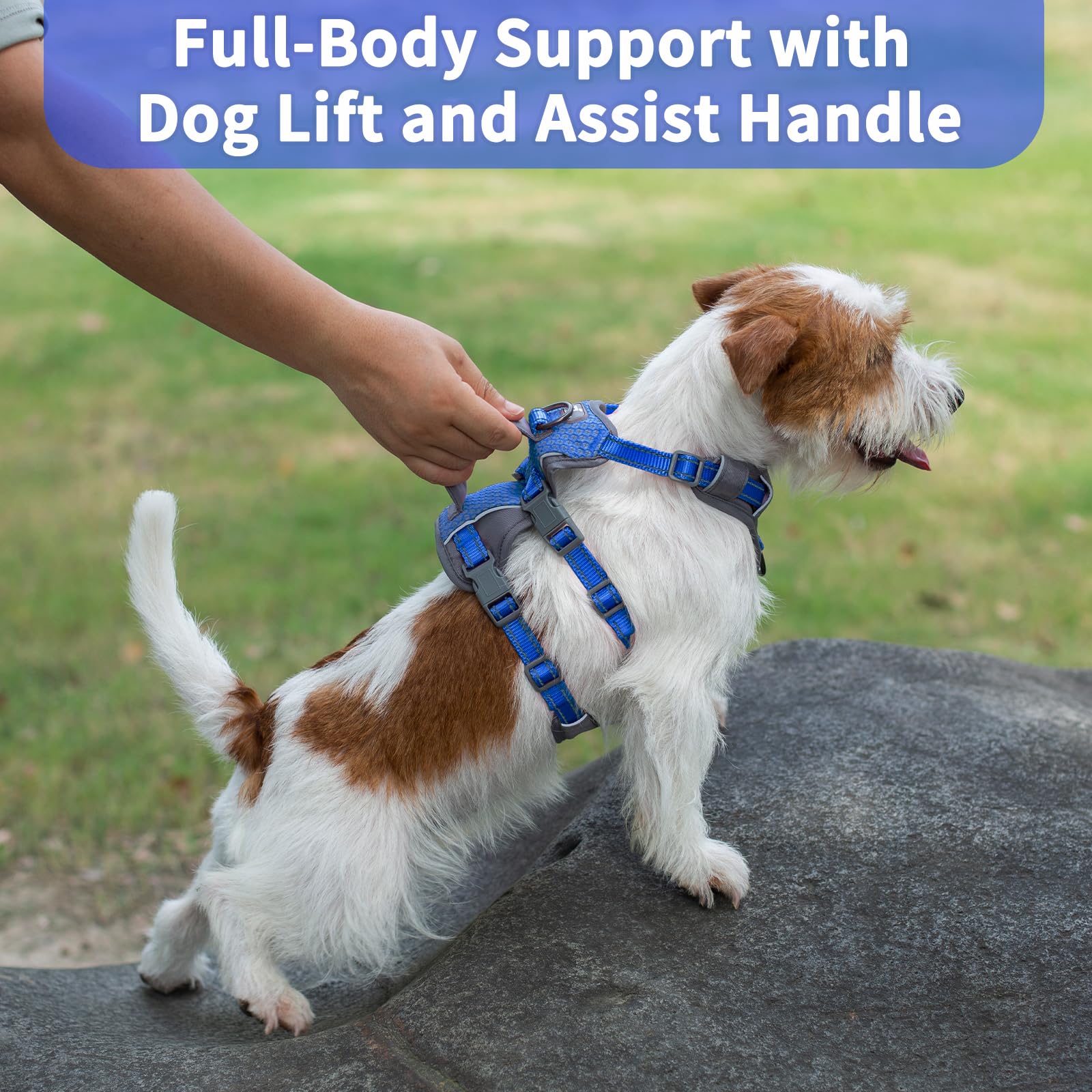 Huntboo Escape Proof Dog Harness Medium, Anti-Pull Dog Harness with Handle, Breathable, Adjustable, Reflective Dog Harnesses - Image 4