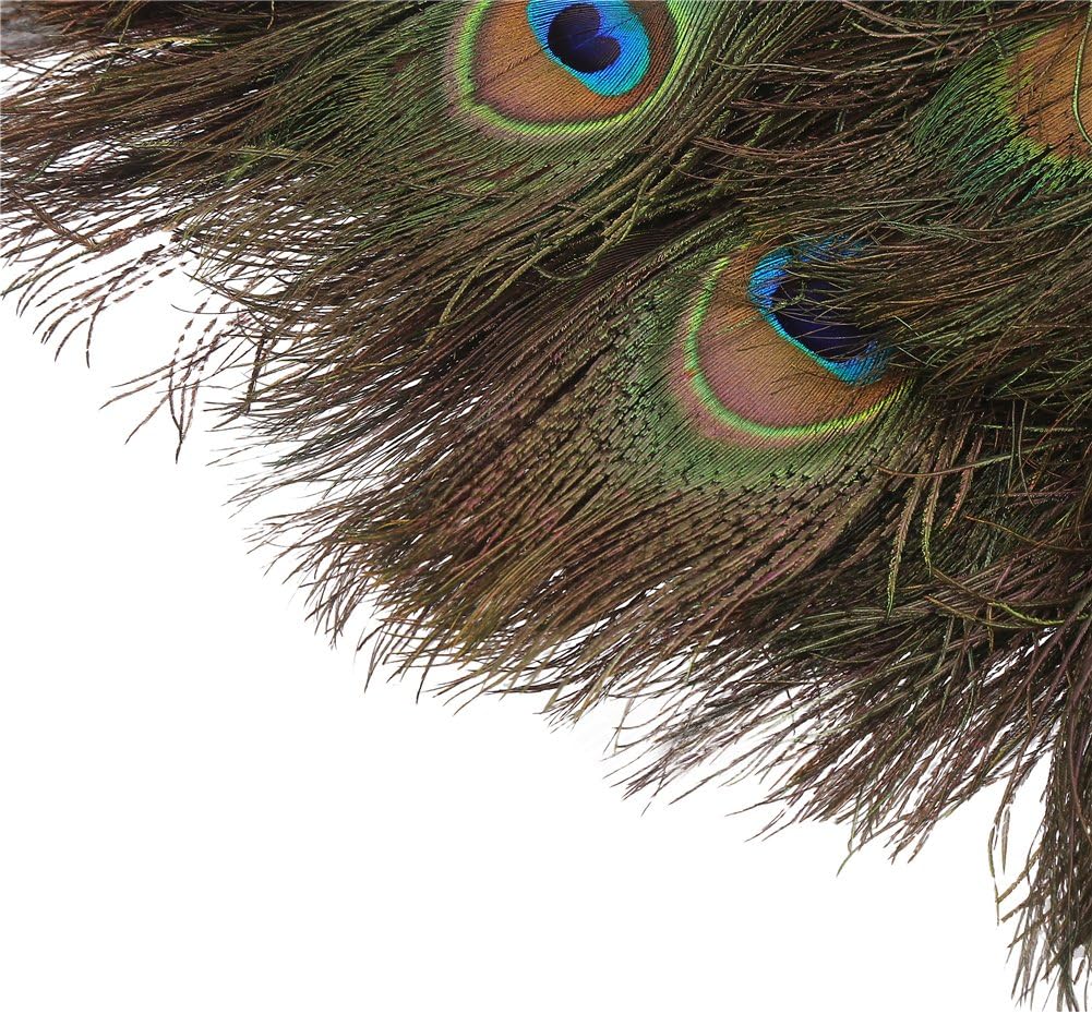 DECORA 100 Pieces Real Natural Peacock Feathers for Craft Halloween Costume Bridesmaid Corsage Christmas Wreath and Home Decor 10 Inch-12 inch