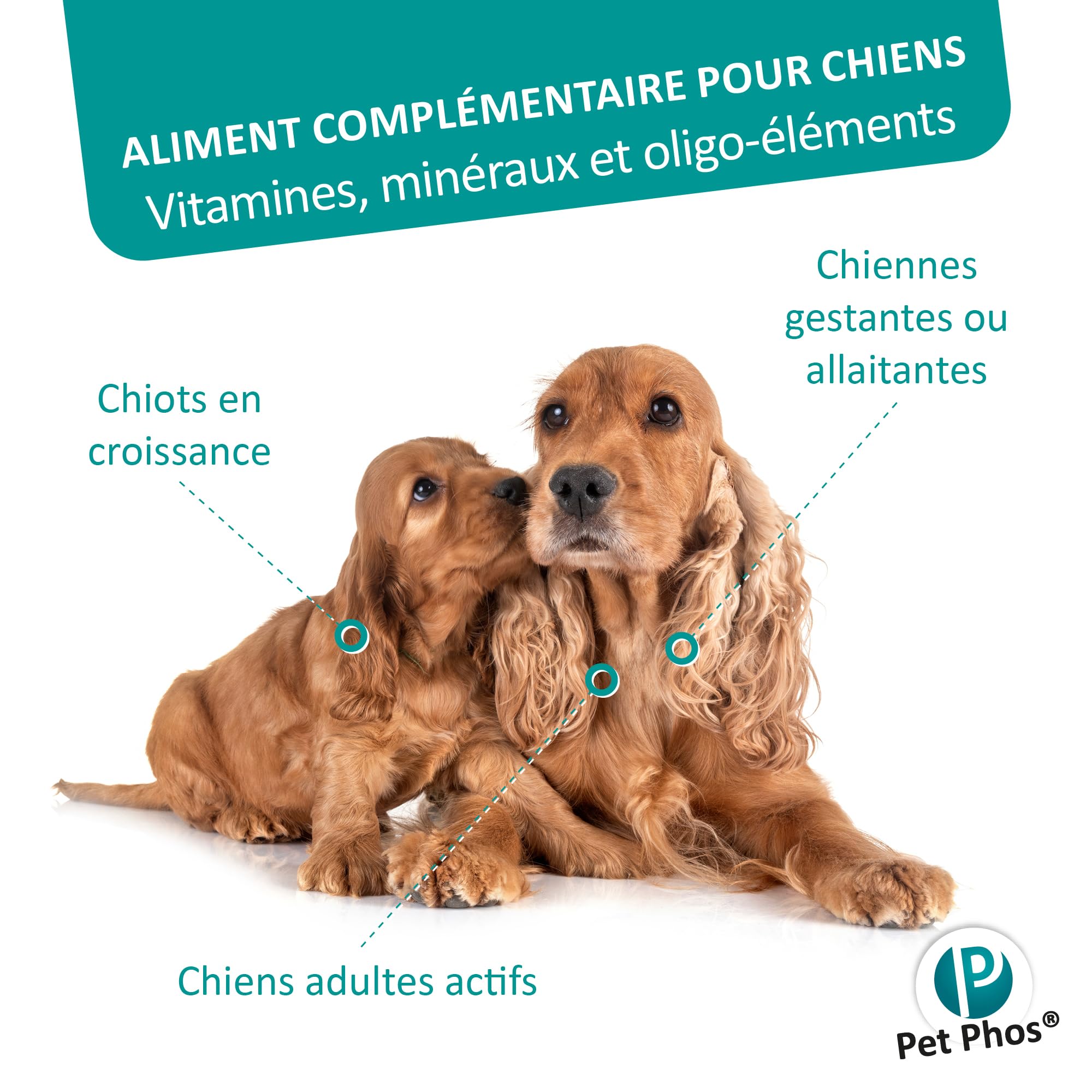 PET PHOS Croissance CA/P = 1,3 - pour Chiots en Croissance et Femelles gestantes ou allaitantes nourris avec Une Ration Industrielle. 100 comprimés