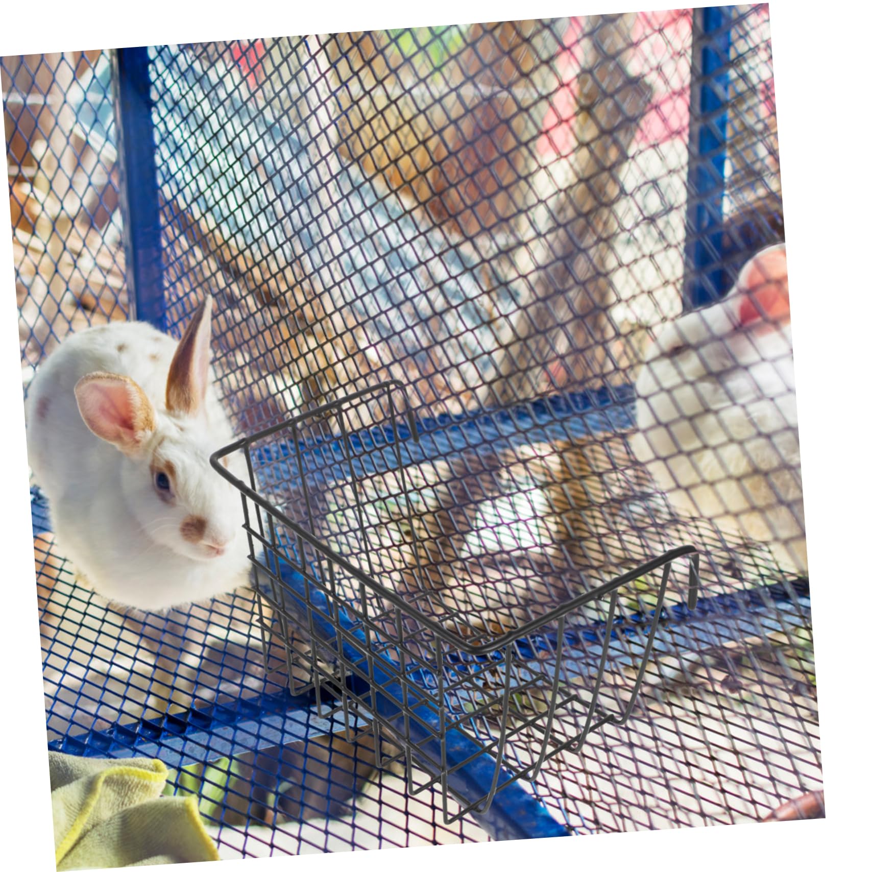 BESTonZON 2 Stück Heu Futterspender für Kleintiere Robuster Metallkorb Platzsparend Hängend für Kaninchen Meerschweinchen und Chinchillas Sorgt für Frisches und Sauberes Futter im Käfig