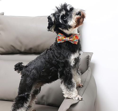 Miniatura 4 de Unique Style Paws Collar de perro de Halloween con lazo de algodón lindo collar de perro con lazo para perros pequeños, medianos y grandes, collar