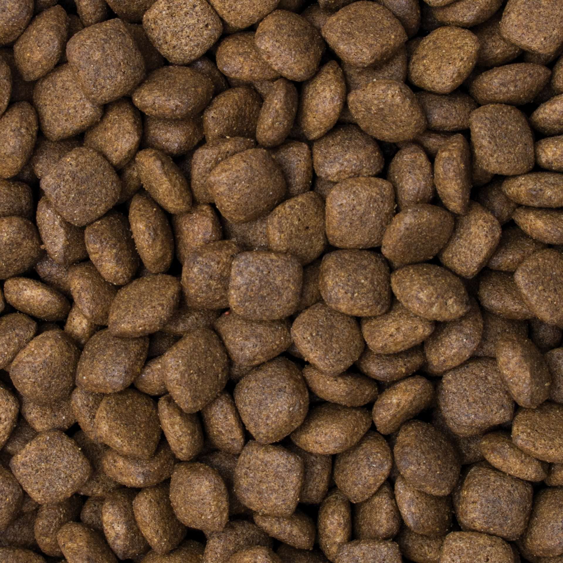 Croquettes pour Chien Premium Riche en bœuf avec du Riz pour Adultes de Races Moyennes et Grandes 12kg
