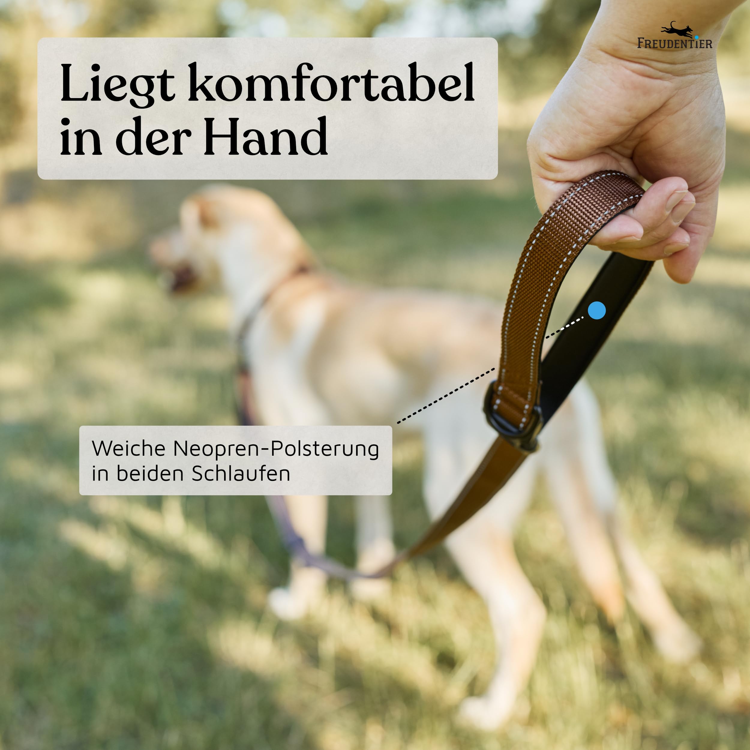 FREUDENTIER Umhängeleine Hund - Hundeleine 2,5m zum Umhängen, stufenlos verstellbar - Leine für kleine, mittelgroße & große Hunde (Braun, 2,5m)