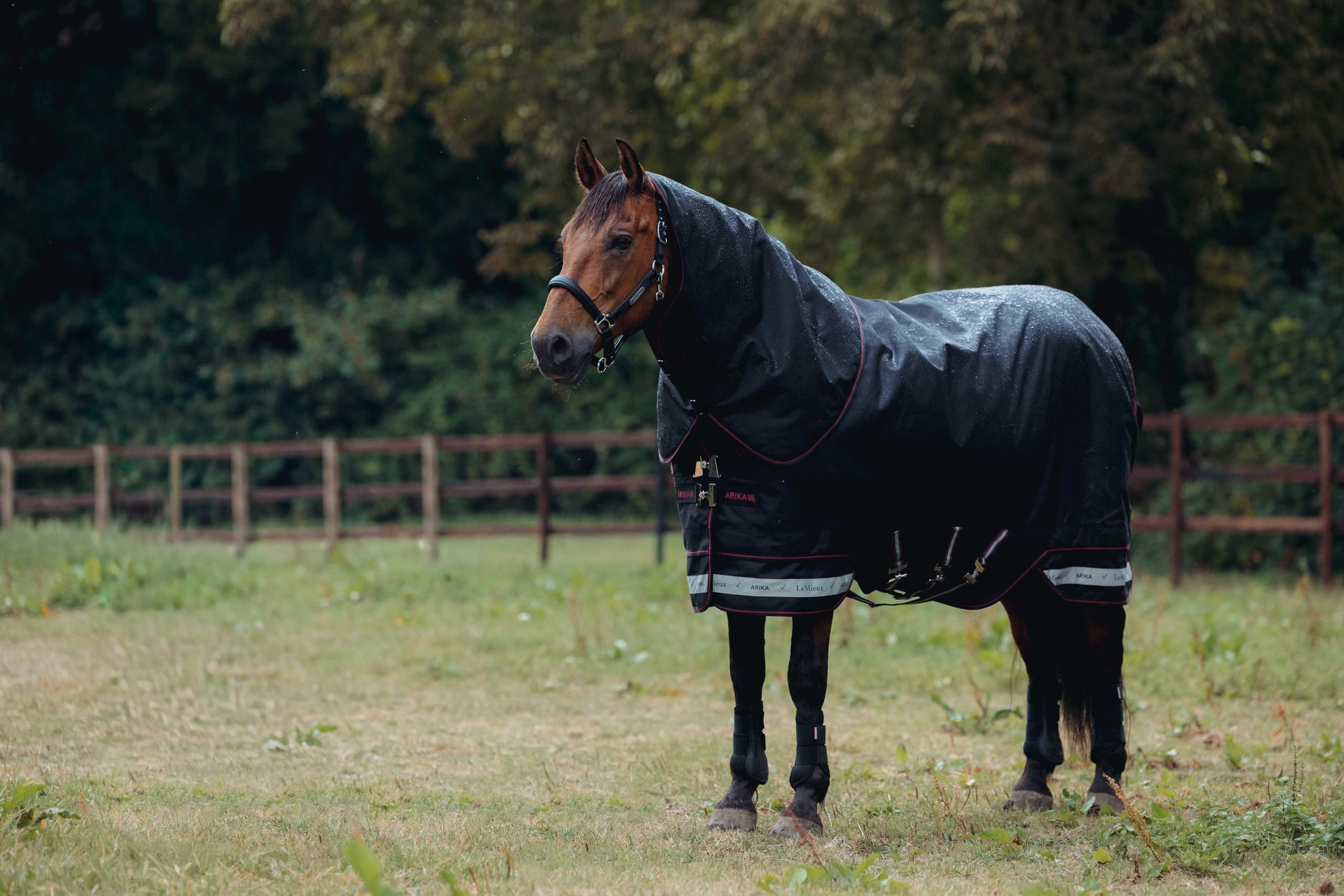 LeMieux Arika Storm-Tek Rug 350g Turn Out Rug - 1200 Denier - Detachable Neck - Black - 5ft3