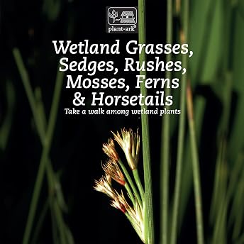 Wetland Grasses, Sedges, Rushes, Mosses, Ferns & Horsetails Audiobook by Ita McCobb episode artwork