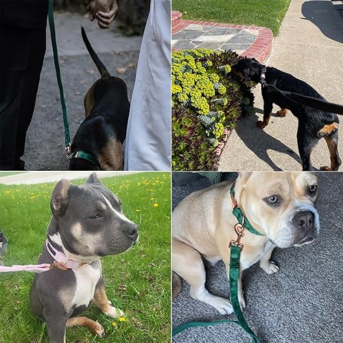 Miniatura 4 de ARING PET Correa para perro, correas de terciopelo a juego, hechas a mano, resistente terciopelo morado, correa para perros pequeños, medianos y