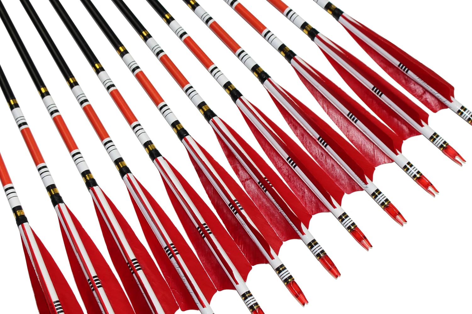 12PCS Red Turkey Feather 31 inches Carbon Arrows Replacement Tips Targeting Arrows Archery for Recurve Longbow Hunting&Practice
