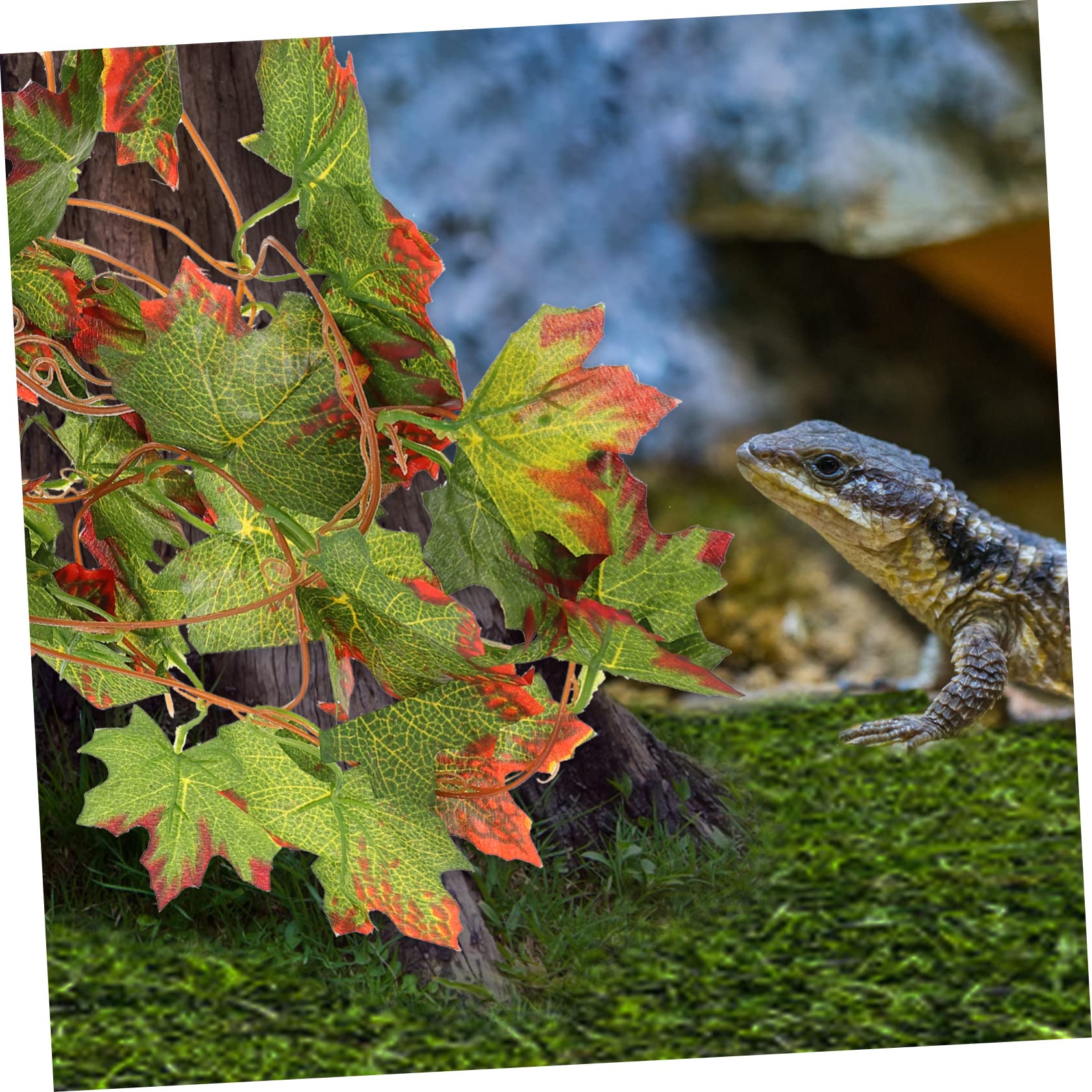 Angoily 5piezas Decoración De Terrario Plantas Imitadas para Reptiles De Simulación Natural Fácil Instalación Ventosa Decoración para Acuarios y Terrarios