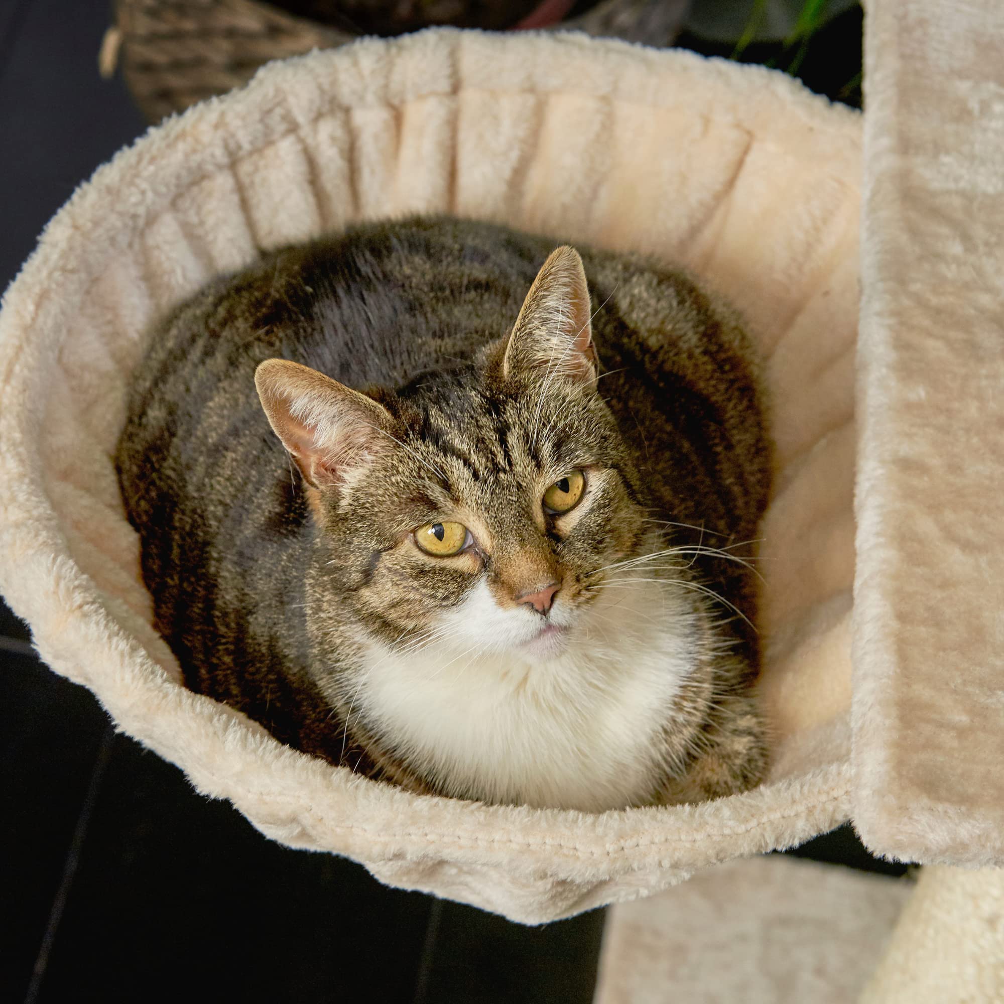 Runesol Hamac pour Chat avec Cadre en métal Extra épais de 40 cm de diamètre - Beige
