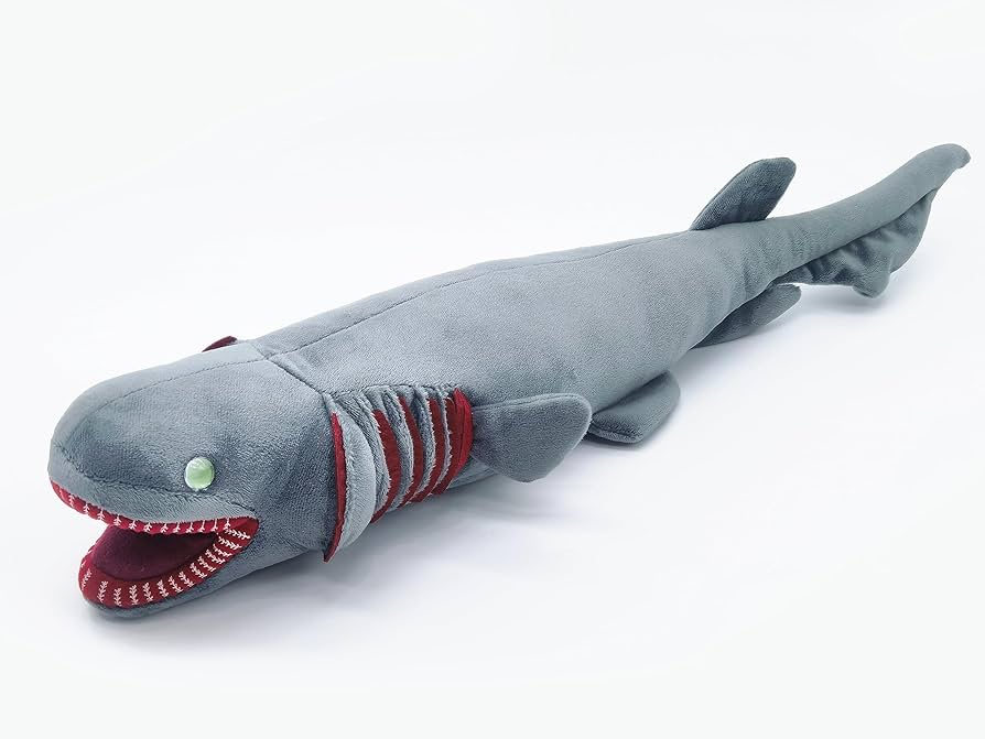 Amazon.co.jp: ラブカ 深海魚ぬいぐるみ カグラザメ 本物