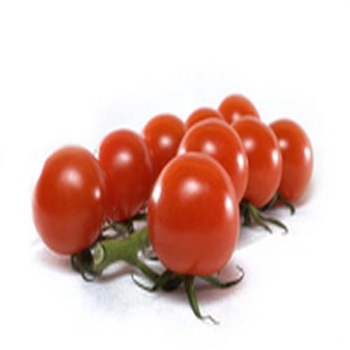 Fish Spring Onion Orange - //medicalbooks.filipinodoctors.org