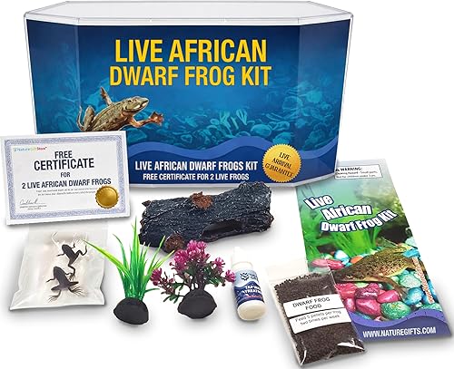 Nature Gift Store Kit de iniciación de rana enana africana - Incluye certificado para 2 ranas vivas - Pequeño acuario, comida, instrucciones