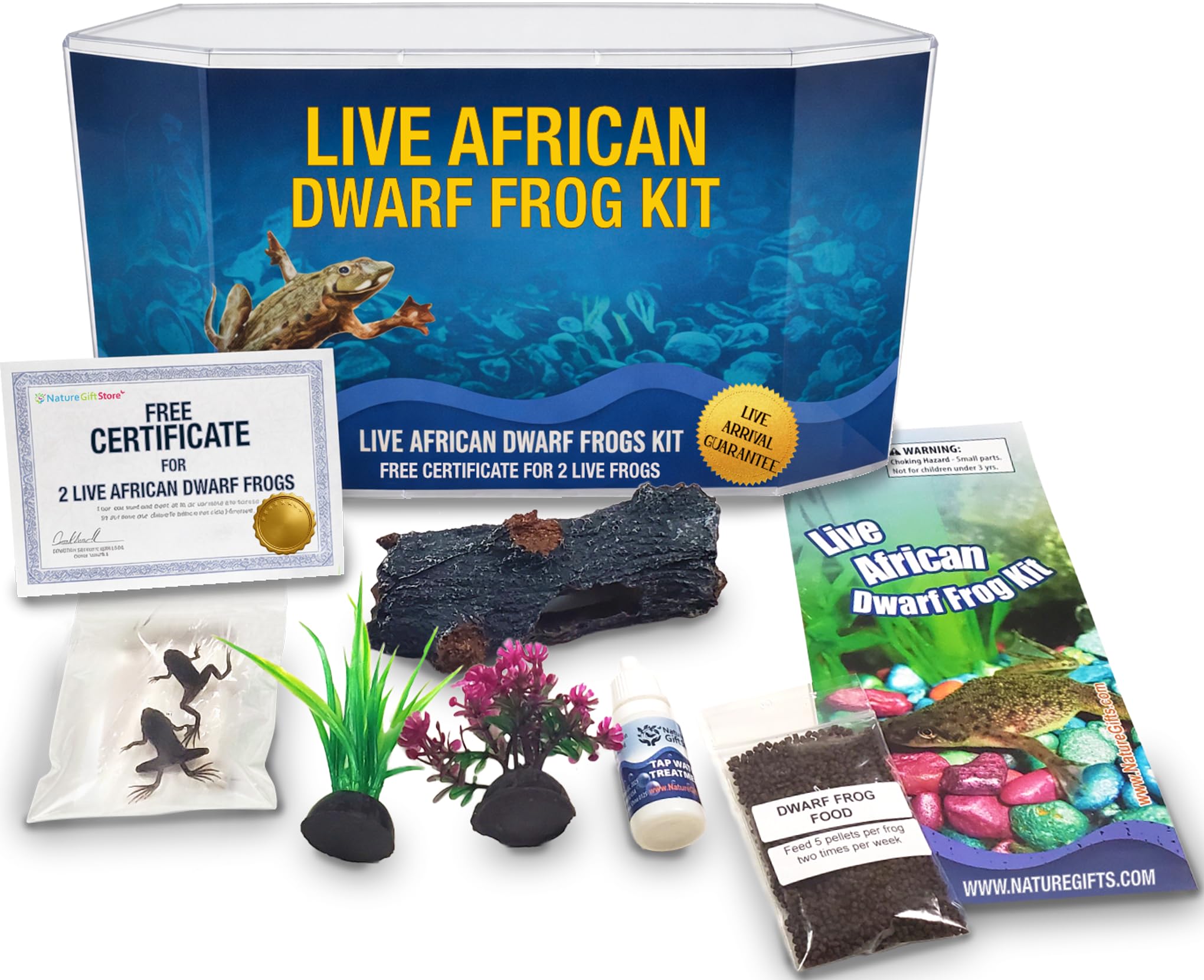 African Dwarf Frog Starter Kit- Includes Certificate for 2 Live Frogs -Small Aquarium, Food, Instructions