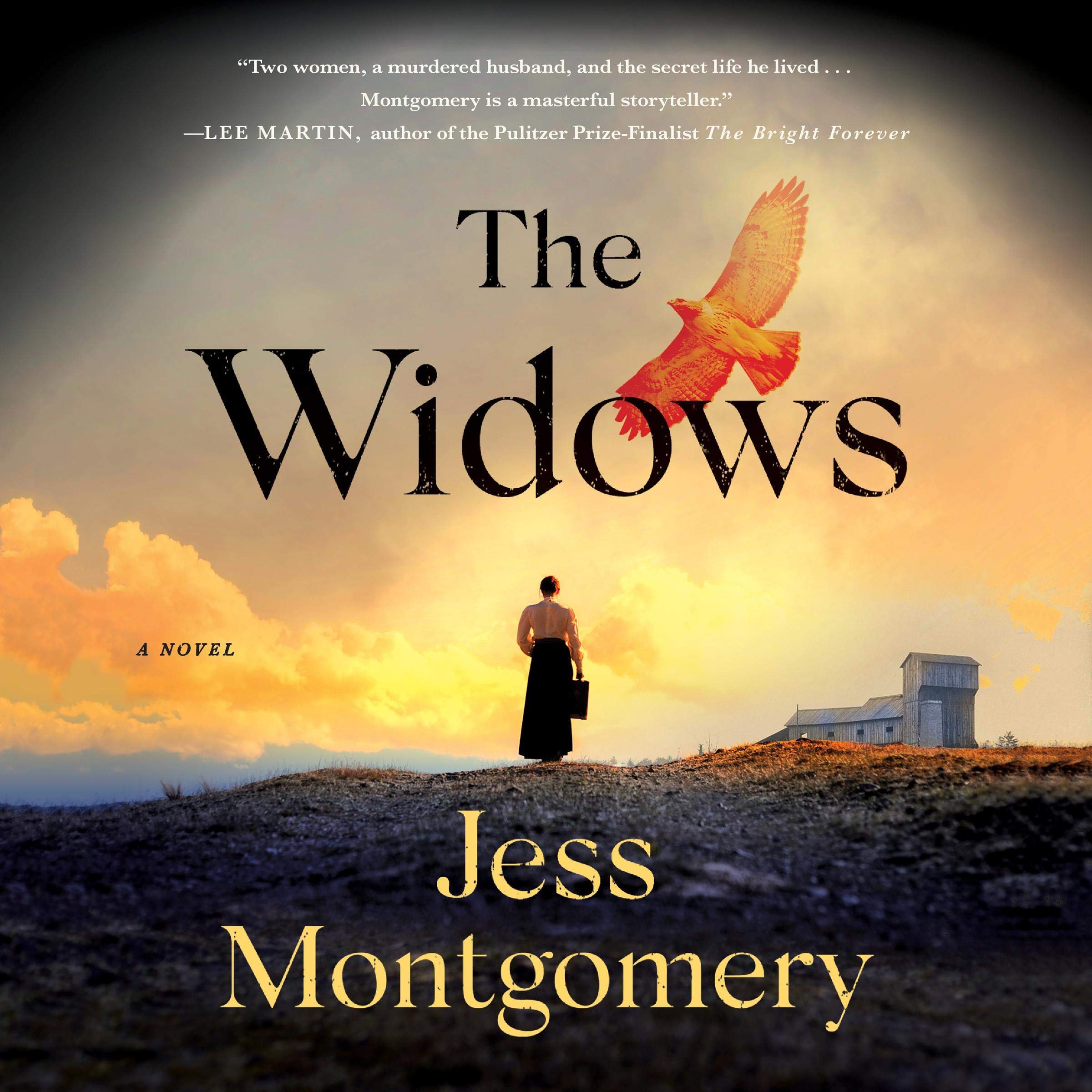 Cover art for The Widows