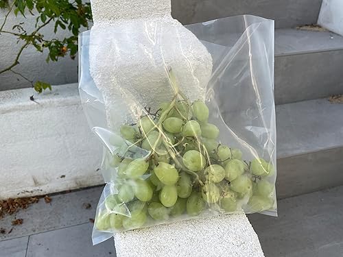 Miniatura 6 de Sandbaggy Bolsas de polietileno transparente  Disponible en 9 x 12 pulgadas, 10 x 10 pulgadas o 12 x 15 pulgadas  Bolsa de polietileno de grado