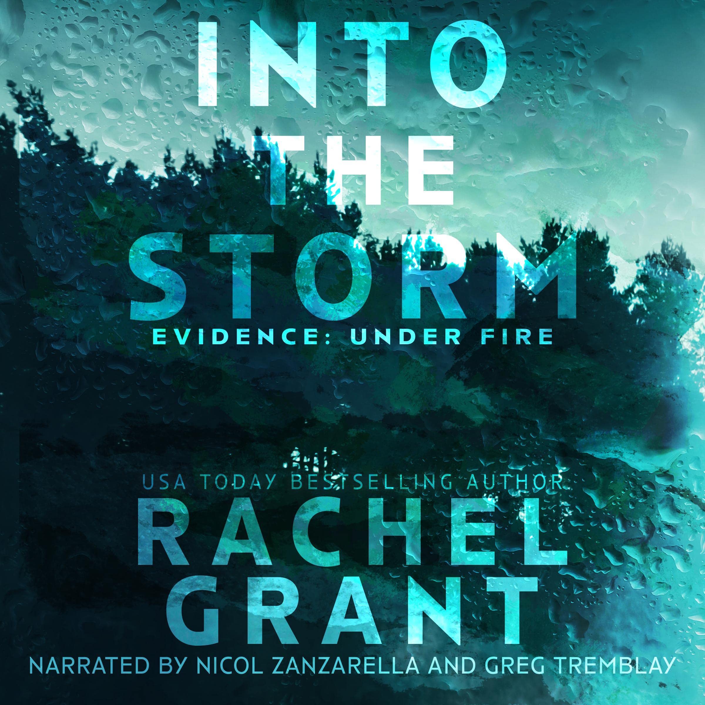 Cover art for Into the Storm
