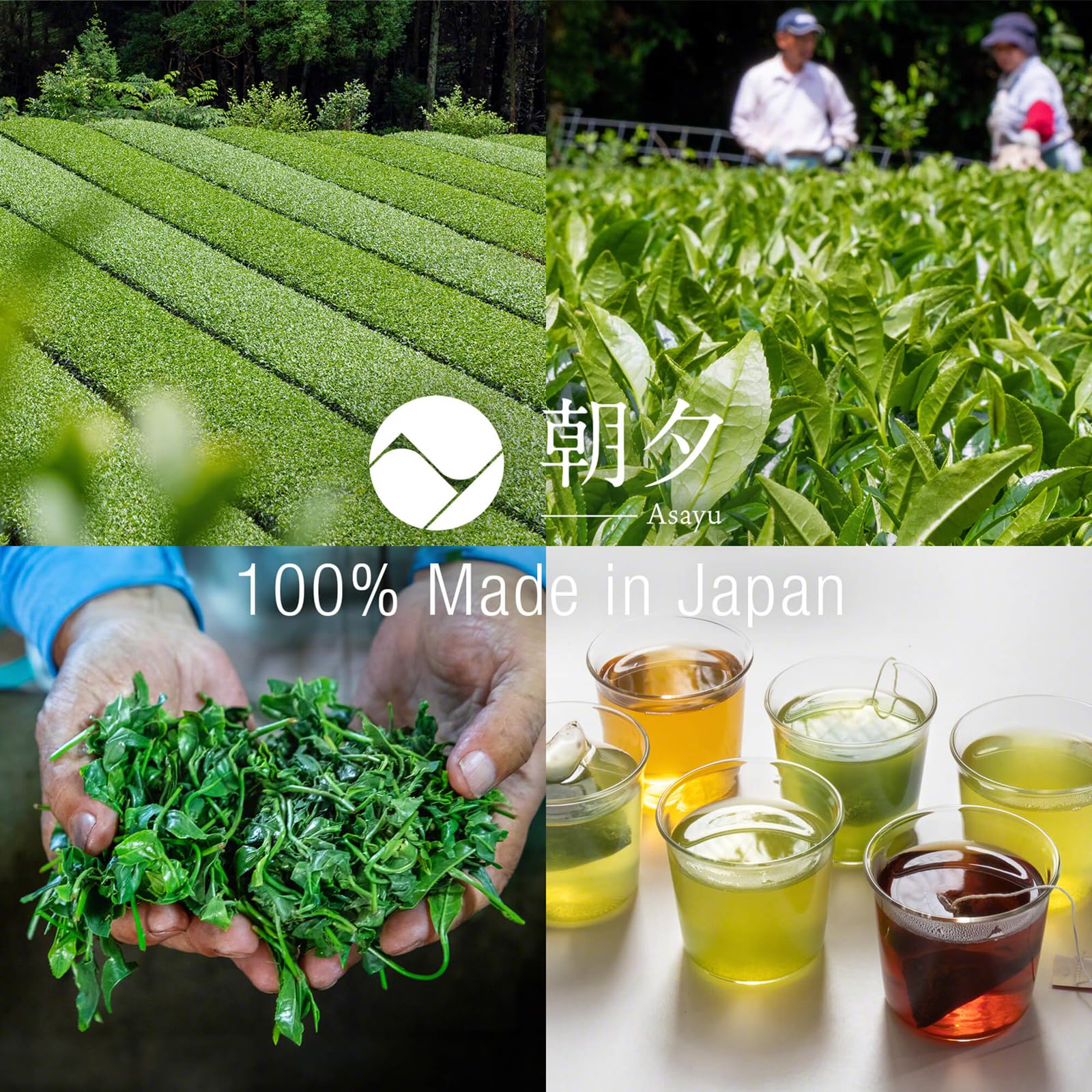 Asayu Japan Tè Verde Giapponese Gyokuro15 Bustine - Tè Verde Giapponese Premium Coltivato all'Ombra 2,5 gr x 15 bustine per Energia e Sprint Mattutino (Tè Verde Gyokuro)
