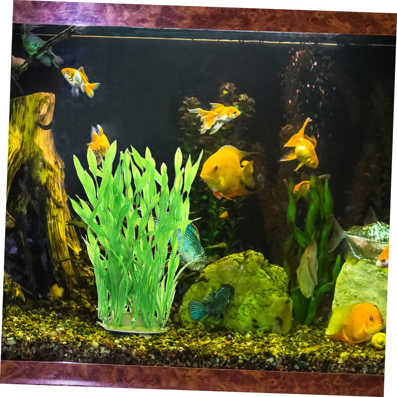 BESPORTBLE 10stücke Aquarium Kunstpflanzen Dekoration Wasserpflanzen Für Betta Fisch Tank Unterwasser Aquarien Zubehör Langlebig Und Farbecht