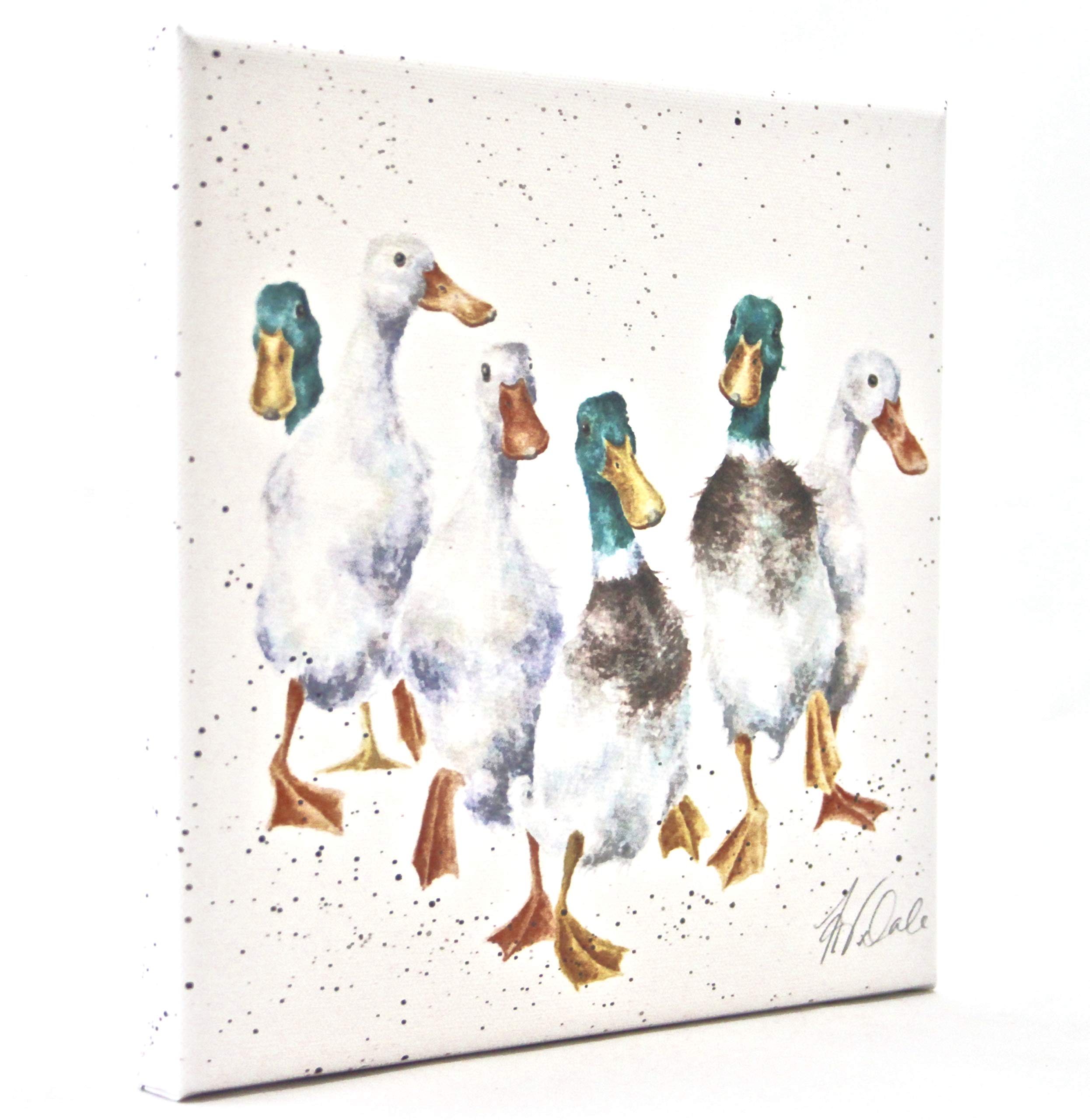 Wrendale Designs Duck Print on White Square Canvas 20 Centimetre "Quackers"