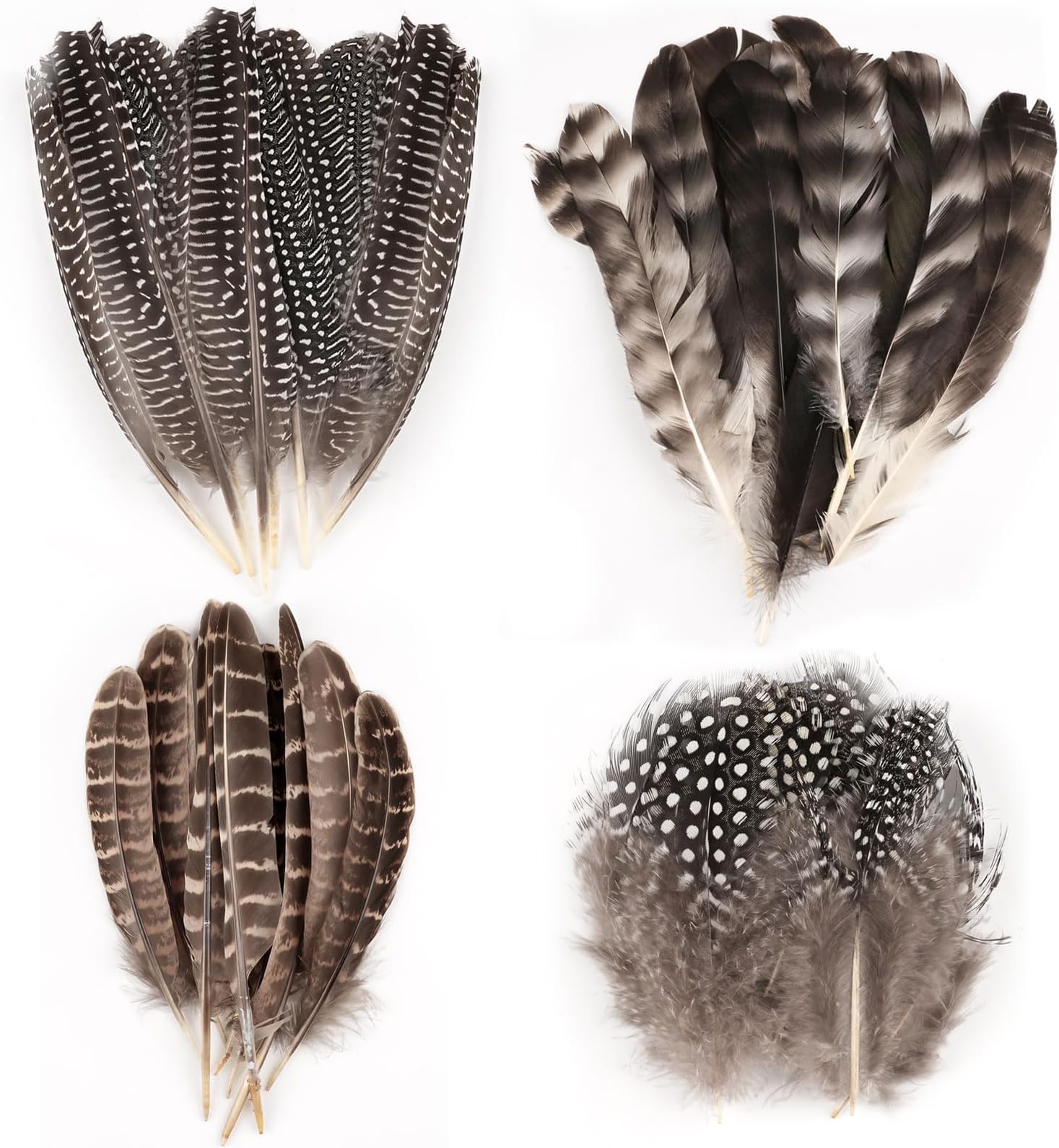 50 Pcs 4 Styles Natural Feathers for Crafting, Brown Pheasant Feathers, Speckled Craft Feathers, 13-19 Cm Pheasant Tails for DIY Hats Party Deco Cosply Dream Catchers - 4 Sizes