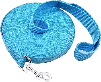 SALO Nylon Training Dog Leash for Small Medium Large Dogs, 1 Inch Wide, 20ft 30ft 40ft 50ft Long Leash Dog/Puppy Lead for Obedience Recall Training, Camping, or Backyard 20 Foot, Sky Blue