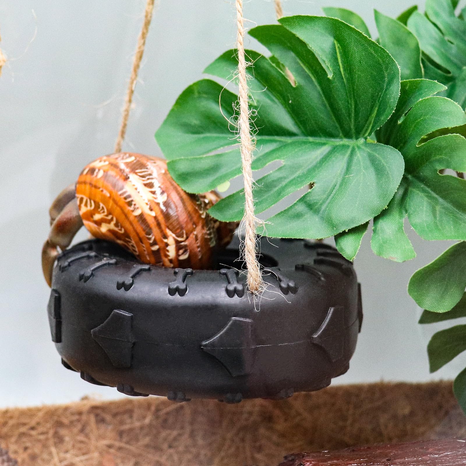 Einsiedlerkrebs-Schaukel Aus Gummi – 9,4 Cm Durchmesser, Mit Saugnapf & Seil, Für Aquarium & Terrarium