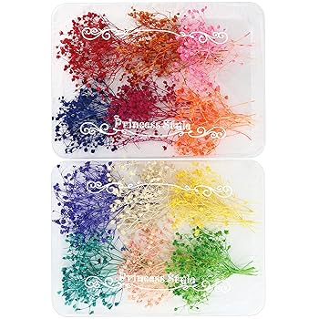 Amazon | Princess-style ミニ かすみ草 ドライフラワー レジン