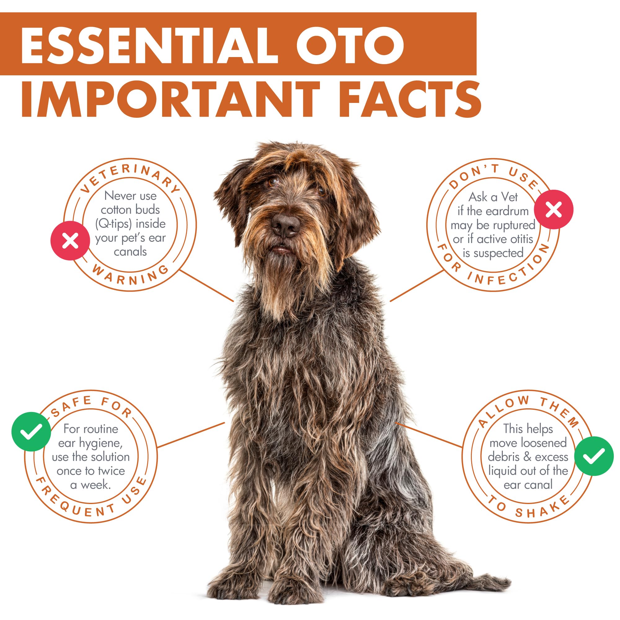 Dermoscent Essential OTO - Detergente auricolare per cani, gatti e conigli | Formula naturale senza alcool | Elimina cerumen e odori, idrata e lenitiva, 100 ml