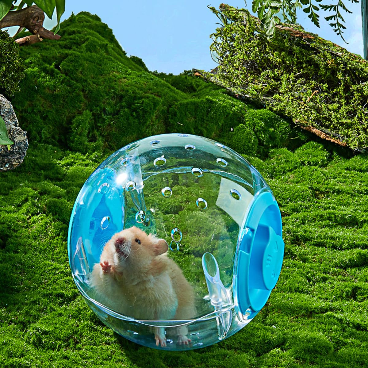 Amazon.co.jp: Yavoluy ランナーボール 小動物ハムスターボール 運動用 