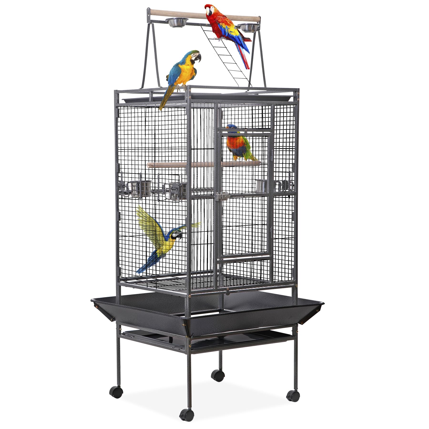 Extra Large Flight Cage - Wayfair - Custom Oversized Bird Flights