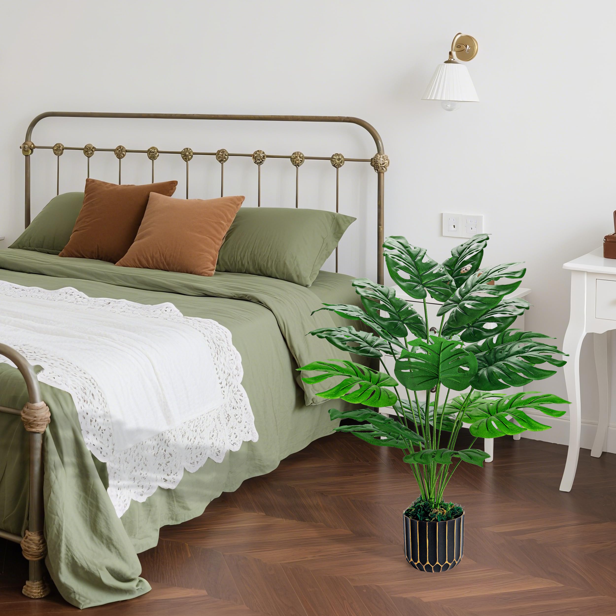 philodendron pedatum pflege Philodendron pedatum 'Florida Ghost' | Eichenblatt Philodendron