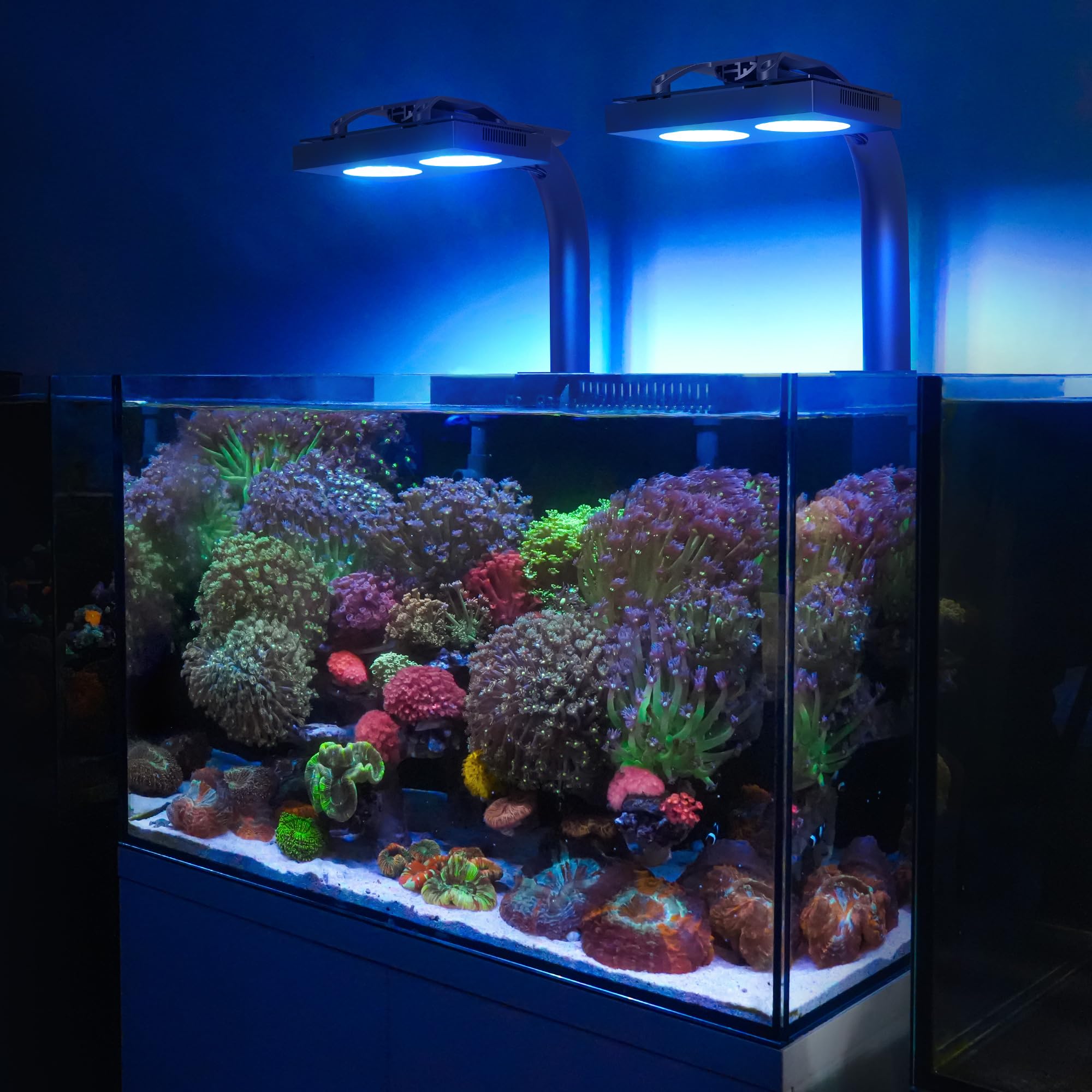 NICREW HyperReef 100 Gen 2 Illuminazione LED per acquario marino da 100W ideale per coralli SPS/LPS e pesci d'acqua salata con spettro potenziato blu viola lente e 5 canali programmabili