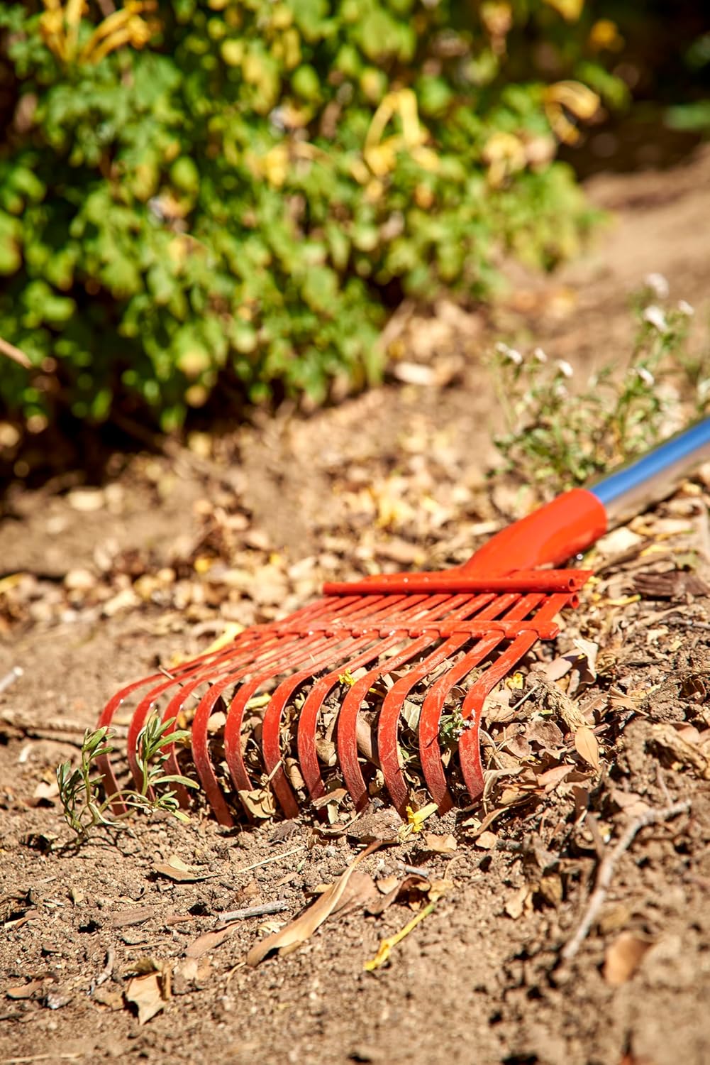 Corona rake head resting on the ground amidst leaves and debris