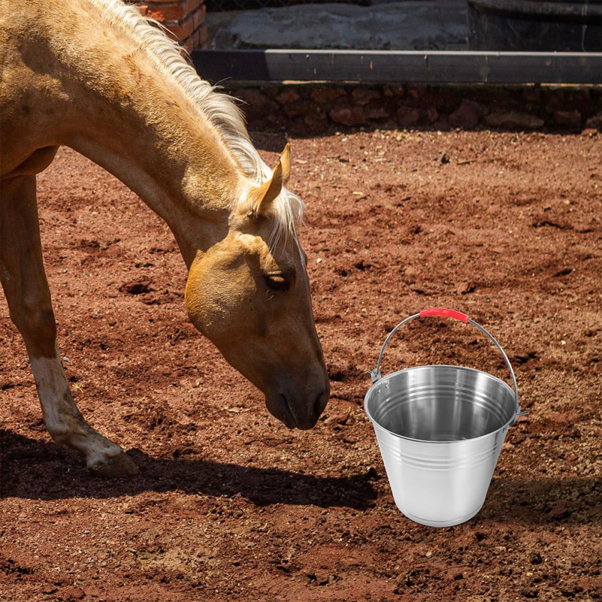 Cubo de Acero Inoxidable para Caballos 10l Asa Portátil | Plata, Fácil de Limpiar, Uso Múltiple, para Caballo y Potro, Adecuado para Agua y Alimento en Establo