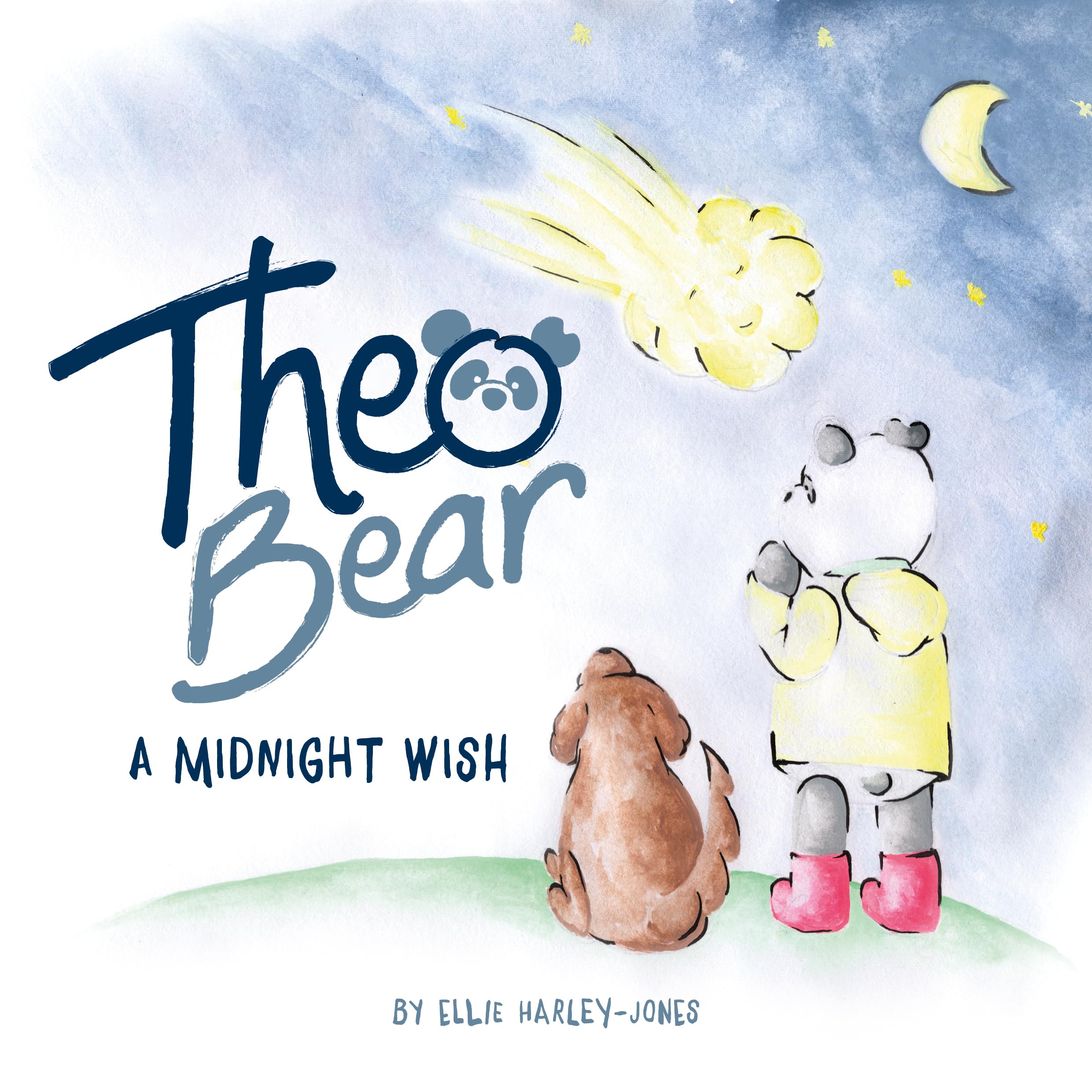 Theo Bear: A Midnight Wish
