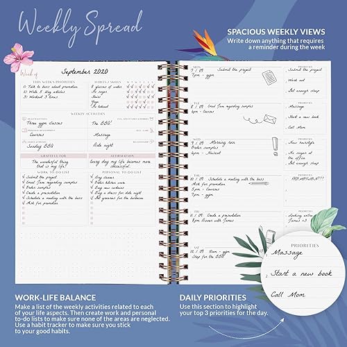 Miniatura 3 de PLANBERRY Agenda semanal grande prémium  Planificador de vida y presupuesto sin fecha  Organizador y diario de productividad, 8 x 10.4 pulgadas